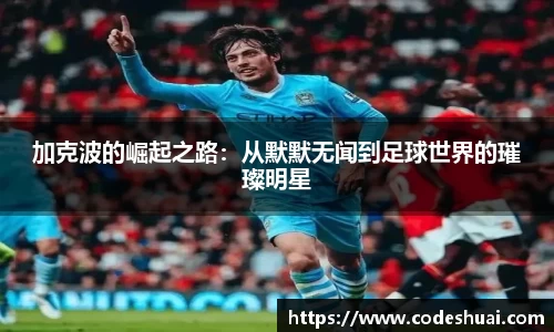 bsports必一体育官网