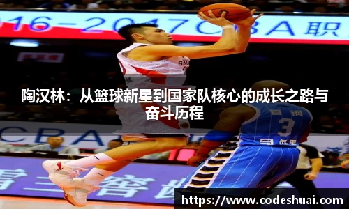 陶汉林：从篮球新星到国家队核心的成长之路与奋斗历程